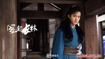 琅琊榜在线观看爱奇艺,揭秘权谋巅峰对决！  第2张